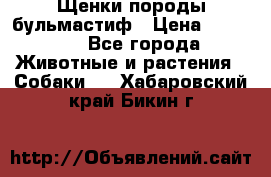 Щенки породы бульмастиф › Цена ­ 25 000 - Все города Животные и растения » Собаки   . Хабаровский край,Бикин г.